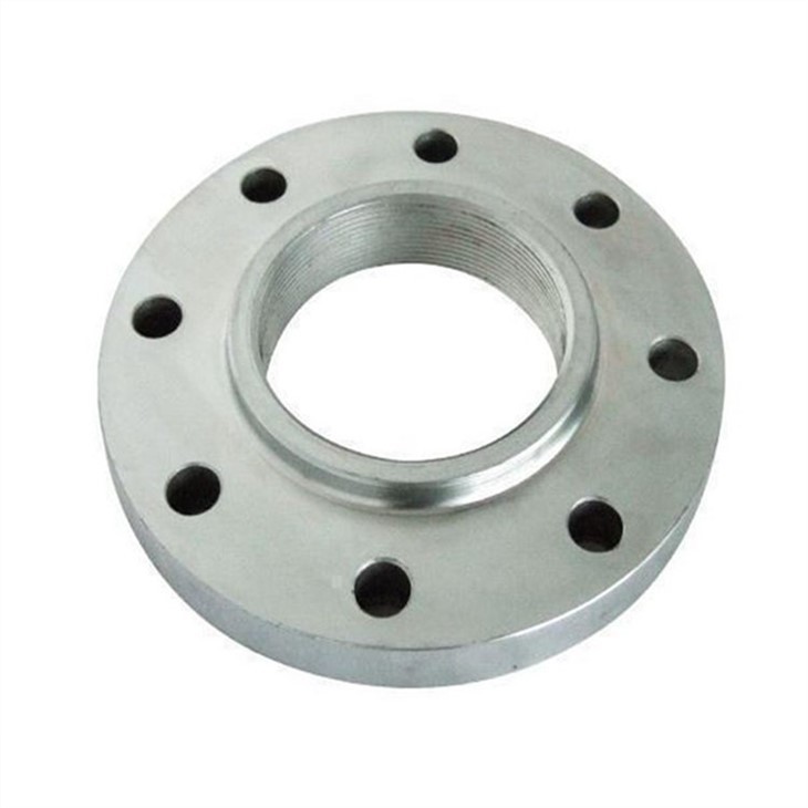 Hastelloy Flange